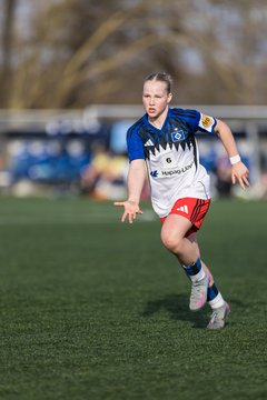 Bild 395 - wBJ Hamburger SV - Hertha BSC : Ergebnis: 2:1